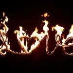 Love-feuer